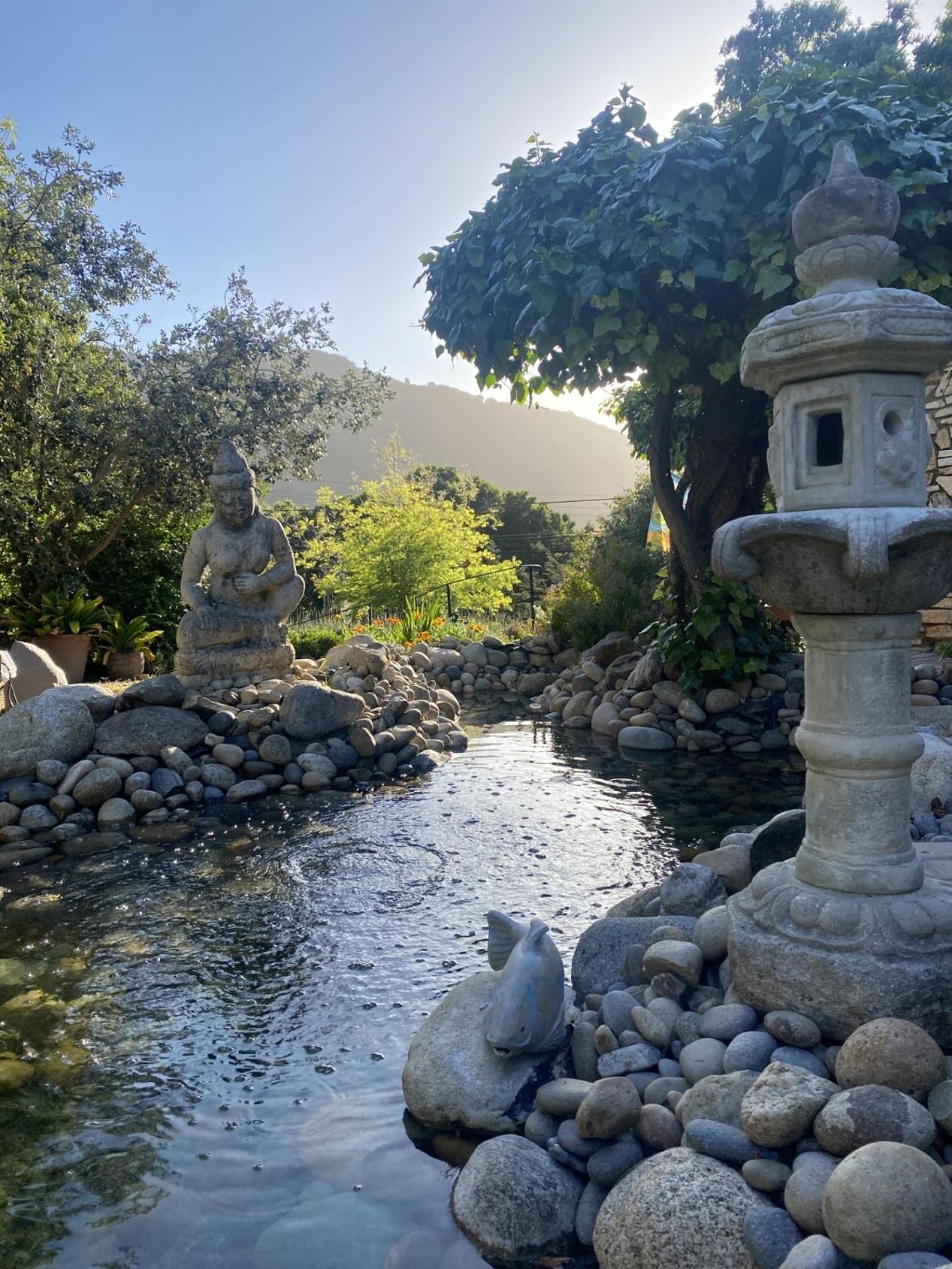 Carmel Valley Lodge Kültér fotó