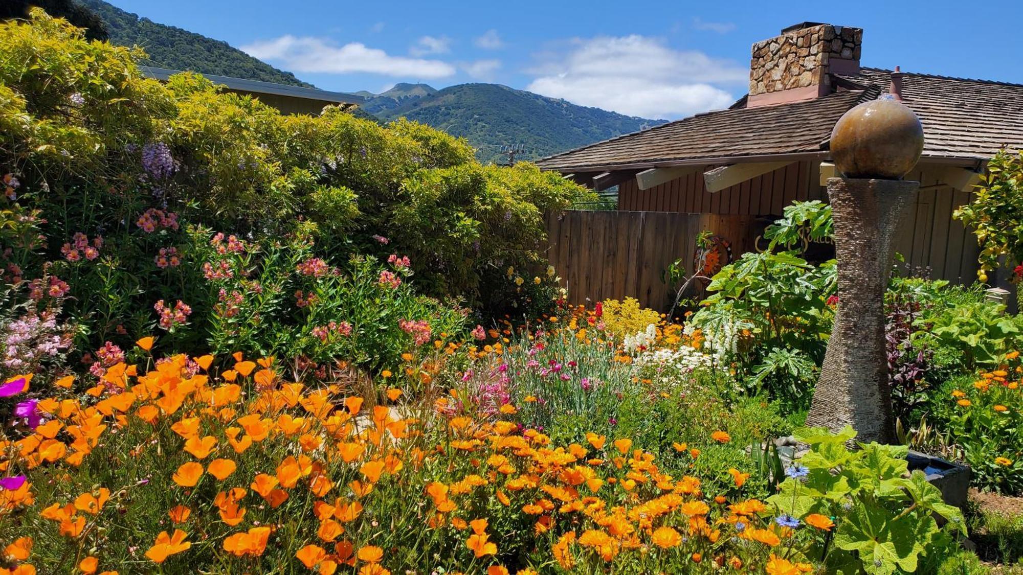Carmel Valley Lodge Kültér fotó