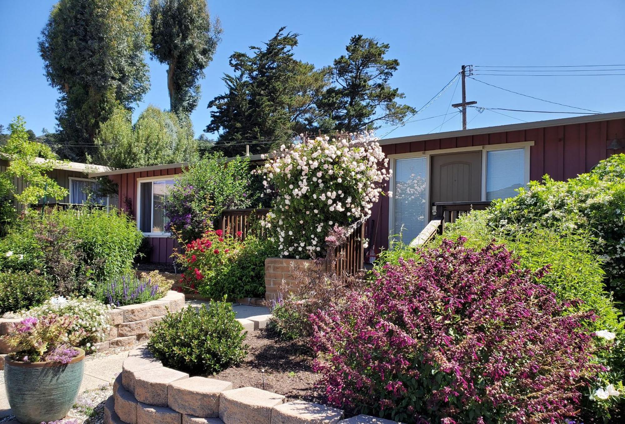 Carmel Valley Lodge Kültér fotó